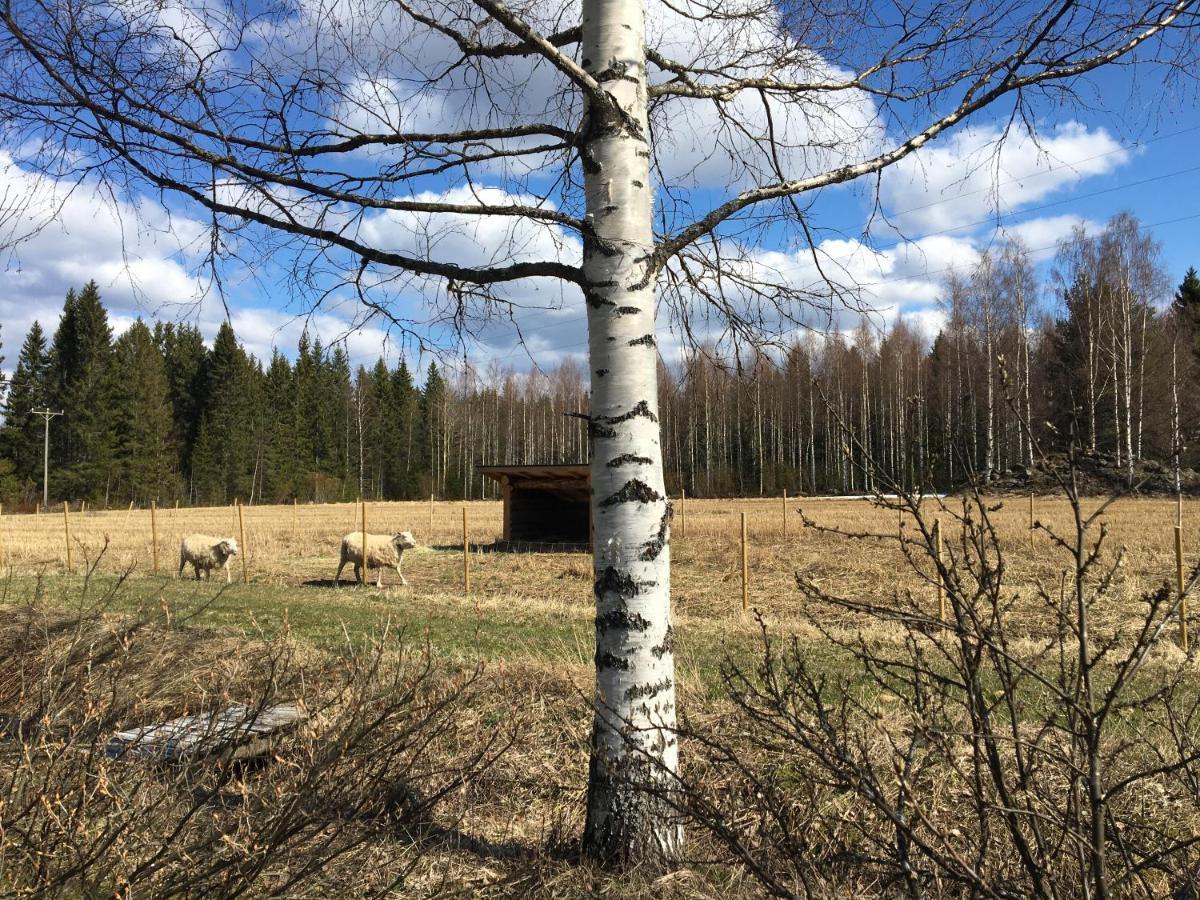 Kivirannan Tupa Villa Ylivieska Exterior foto